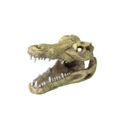 Europet Bernina Crâne de crocodile^ Décoration