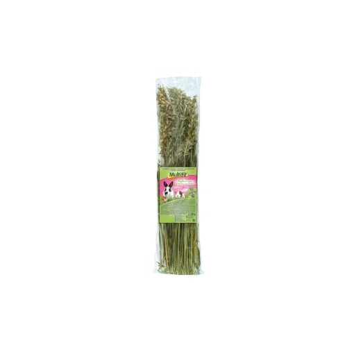 MultiFit rongeur snack chips d'avoine 120 g^ Friandises