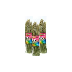 MultiFit snack pour rongueurs Épis de blé 3x120g^ Friandises