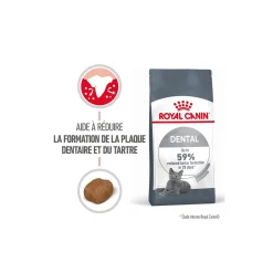 ROYAL CANIN Dental Care Croquettes Chat 400 g^ Croquettes Pour Chat