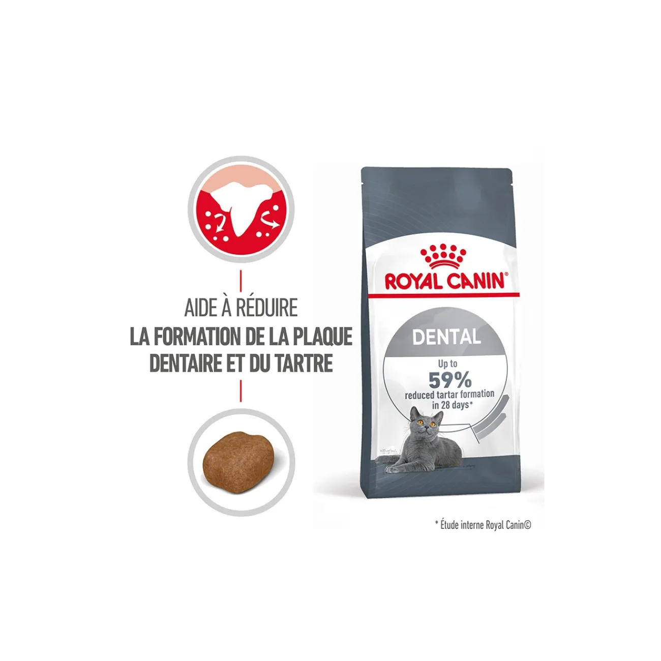 ROYAL CANIN Dental Care Croquettes Chat 400 g^ Croquettes Pour Chat