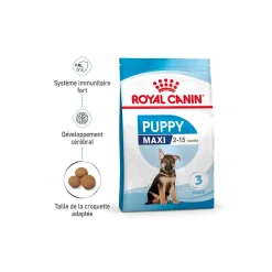 ROYAL CANIN Maxi Chiot Croquettes Chien 4 kg^ Croquettes|Nourriture