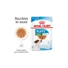 ROYAL CANIN Mini Chiot Nourriture humide Chien 12 x 85 g^ Nourriture Humide|Nourriture