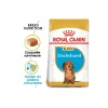 ROYAL CANIN Teckel Chiot Croquettes Chien 1,5 kg^ Croquettes|Nourriture