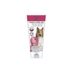 TAKE CARE Gel lipide dentaire^ Soins Dentaires|Dentition Et Soins Dentaires